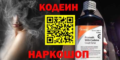 индика Усть-Джегута