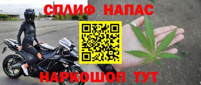 индика Усть-Джегута