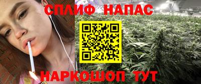 гидра Уссурийск