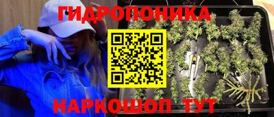 индика Усть-Джегута