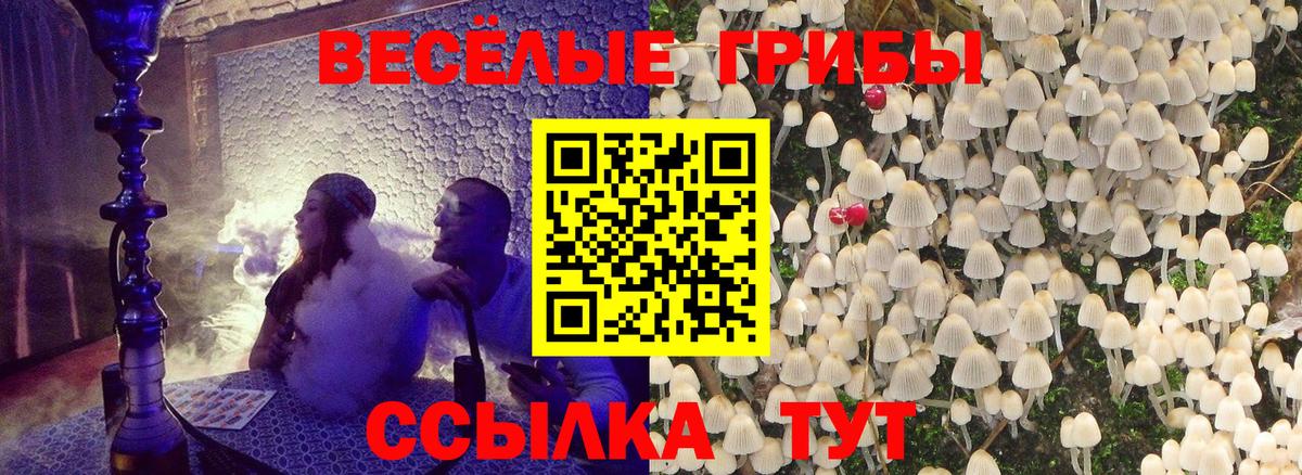 Нововоронеж  Псилоцибиновые грибы Magic Shrooms  Вход с VPN 