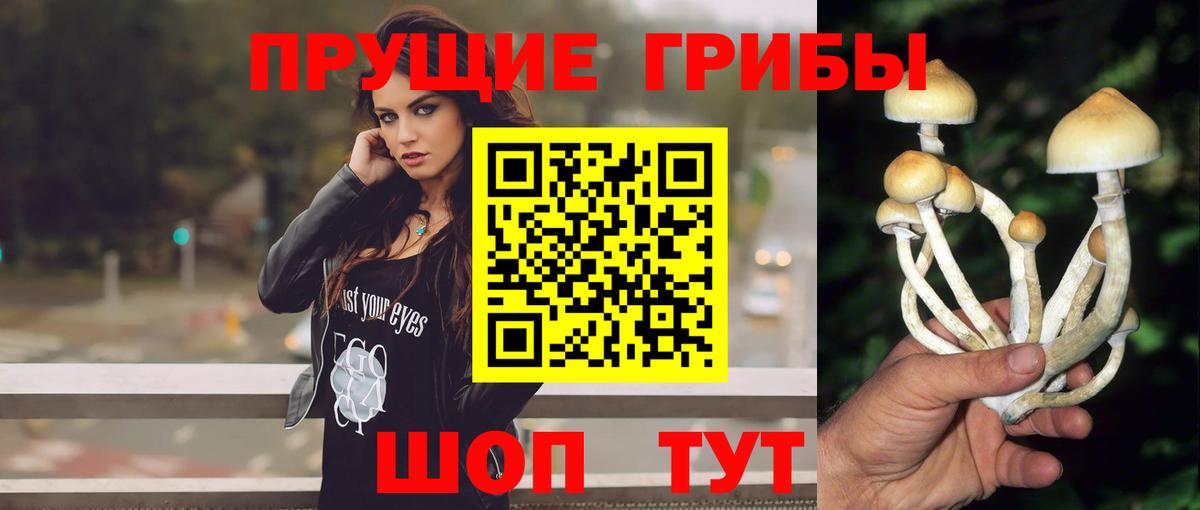 Псилоцибиновые грибы ЛСД Нововоронеж