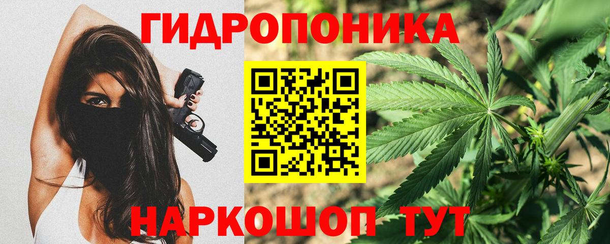 Нововоронеж  Марихуана план  Вход с VPN  Конопля LSD WEED  Канабис гибрид 